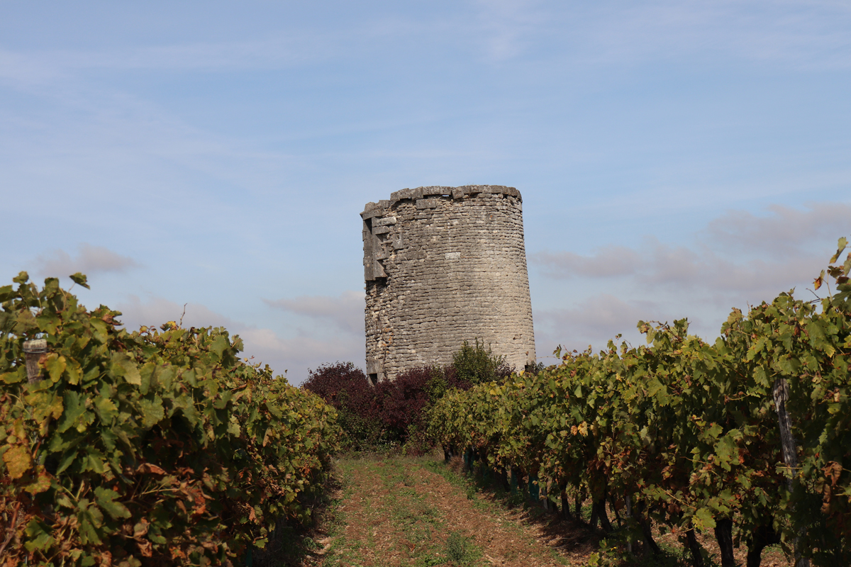 Vignes Asnières-Nouere