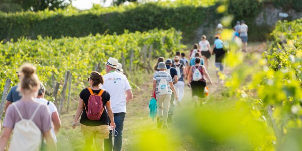 A hike in the heart of the vineyards