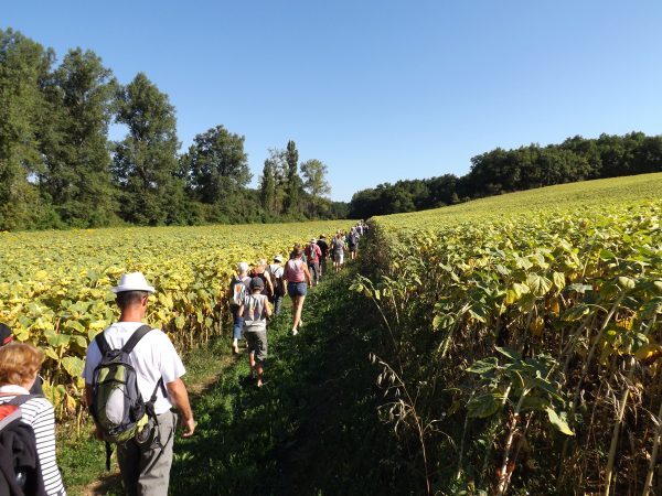 A hike in the heart of the vineyards