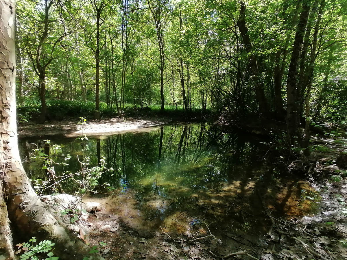 Les sites naturels