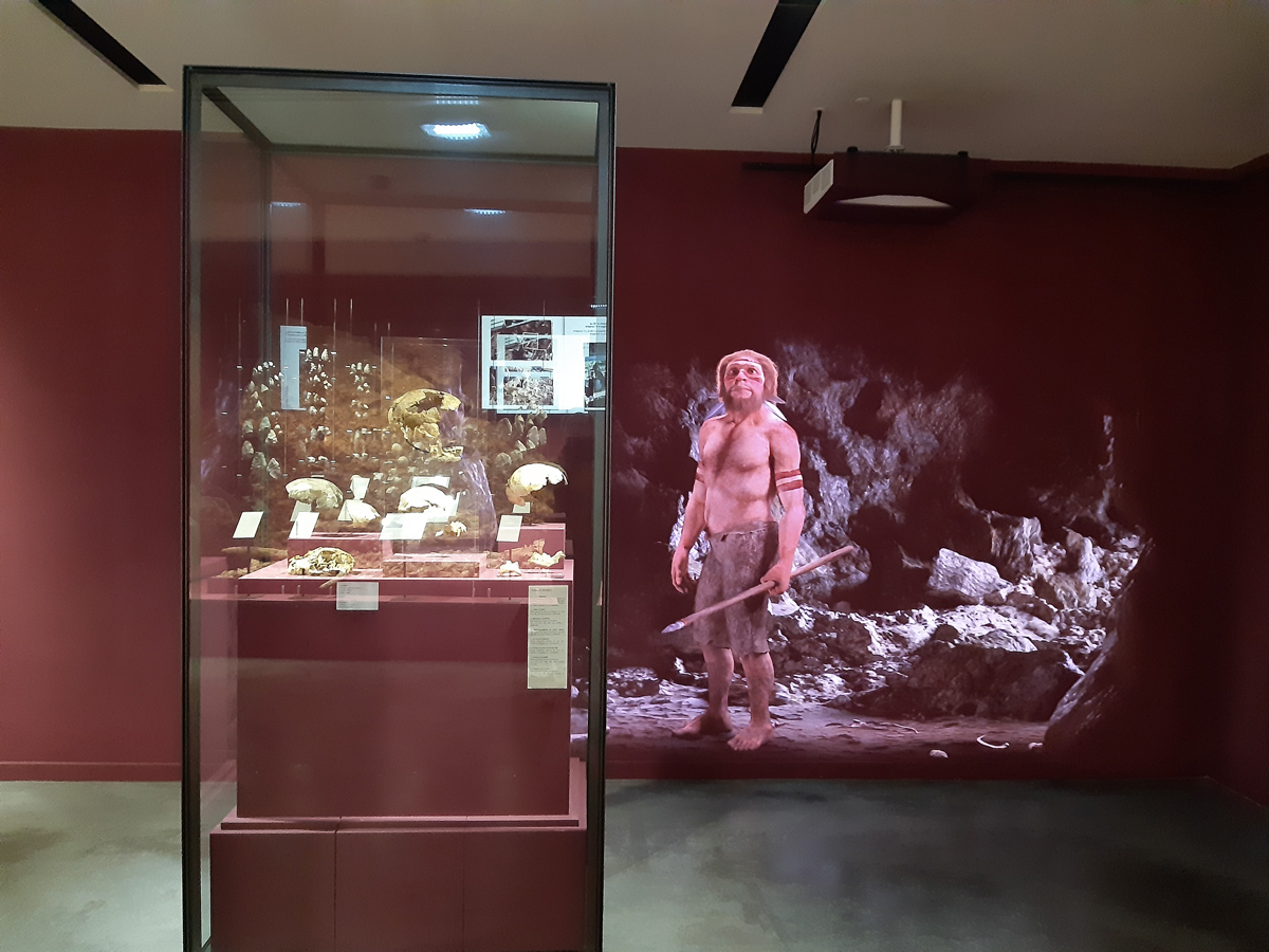 Toutes les animations