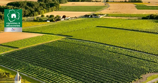 Vignobles et Découvertes