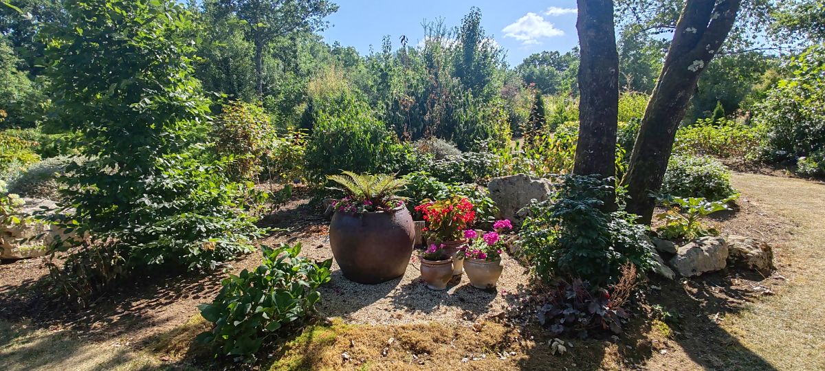 Jardin Parfums d'Asie