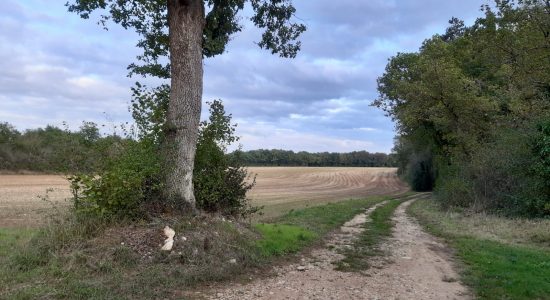 Circuit VTT famille N°8 de Bouëx