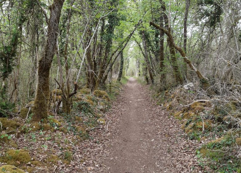 Circuit VTT N°10 expert de Bouëx