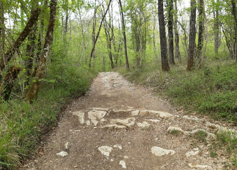 Circuit VTT N°10 expert de Bouëx