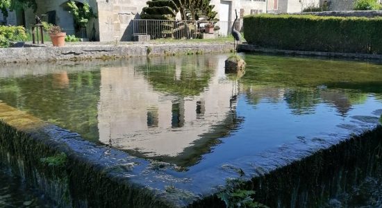Visite libre – Les jardins du Logis de Forge : un jardin remarquable au coeur de l’Angoumois