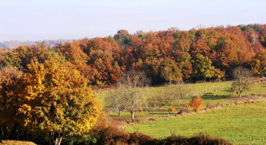Circuit VTT découverte N° 9 de Bouëx