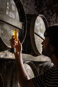 Bourgoin Cognac – Les secrets du vrai cognac de vigneron