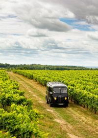Bourgoin Cognac – Expert : Safari dans le vignoble.