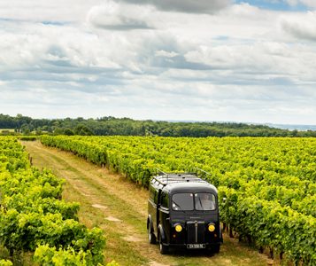 Bourgoin Cognac – Expert : Safari dans le vignoble.
