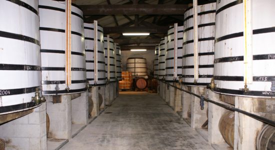 Visite guidée – Exploitation Pineau Cognac Roussille
