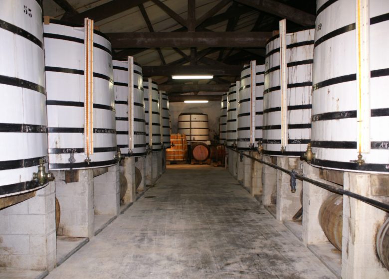 Visite guidée – Exploitation Pineau Cognac Roussille