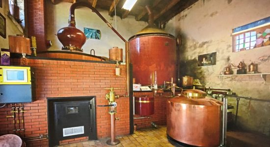 Visite guidée – Exploitation GAEC des Sazaris