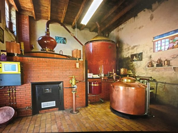 Visite guidée – Exploitation GAEC des Sazaris