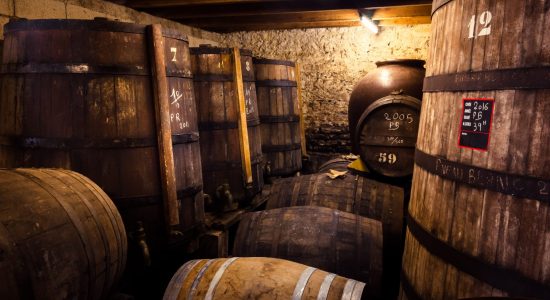 Visite guidée – Exploitation GAEC des Sazaris