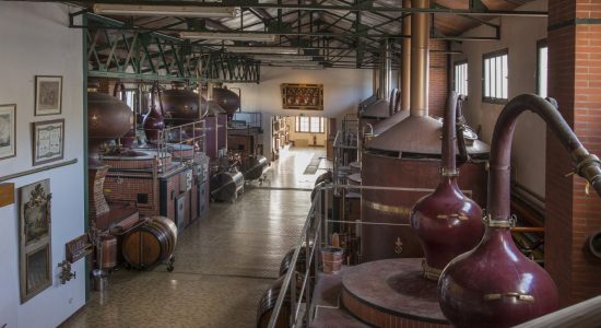 Visite guidée – Distillerie des Moisans