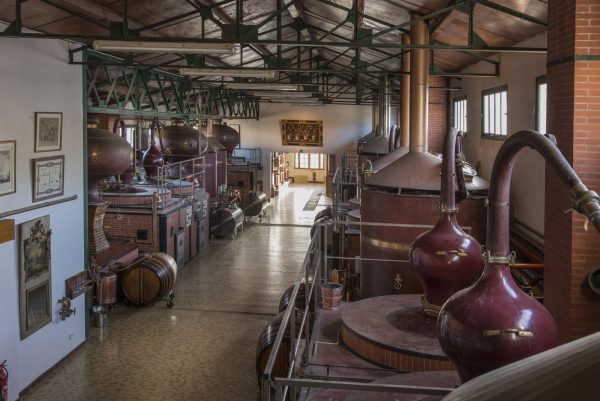 Visite guidée – Distillerie des Moisans