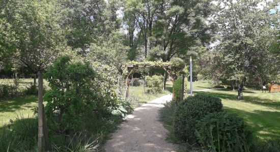 Les Jardins de la Fontaine à Mornac