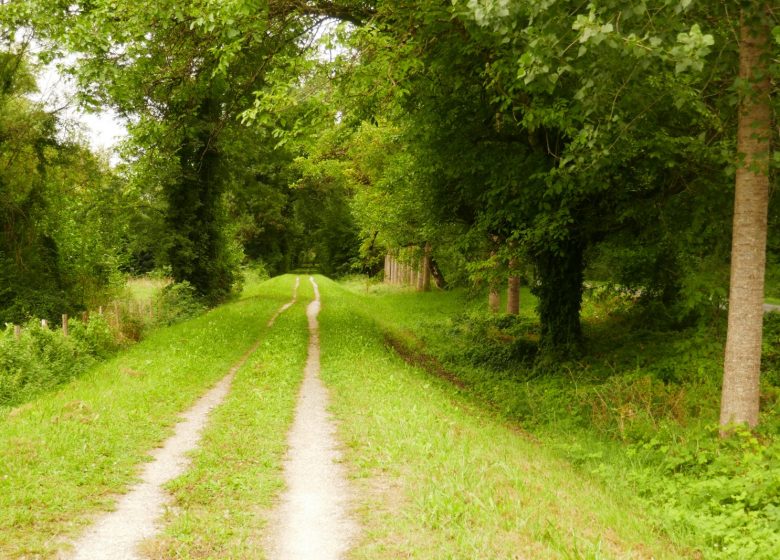 Circuit sur les traces du P’tit Rouillat