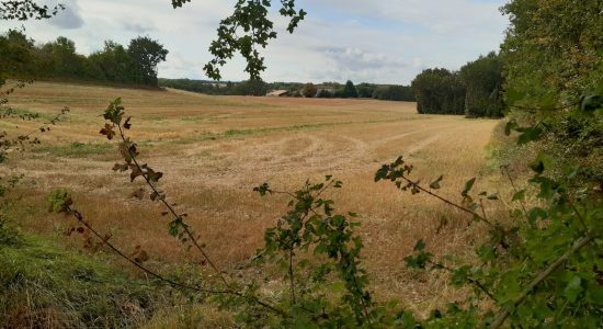 Circuit du Père de la Brosse