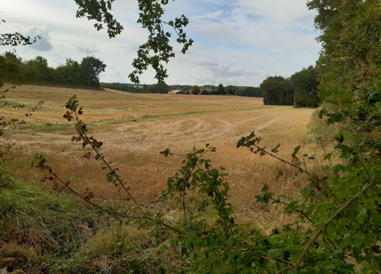 Circuit du Père de la Brosse