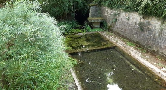 Circuit des lavoirs de Champniers
