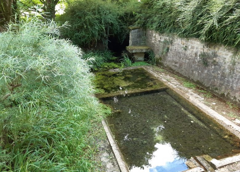 Circuit des lavoirs de Champniers
