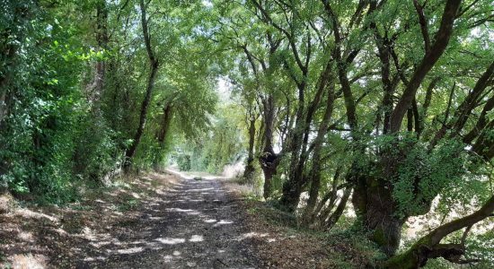 Circuit des lavoirs de Champniers