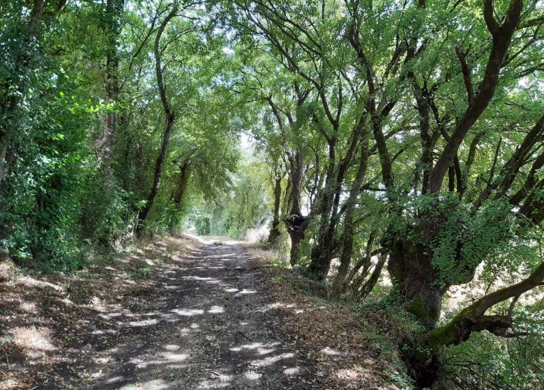 Circuit des lavoirs de Champniers