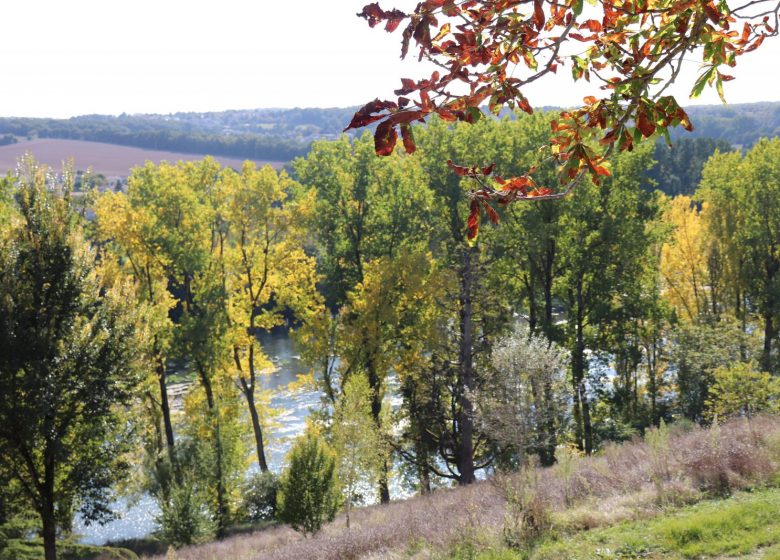 Les Sources de la Touvre