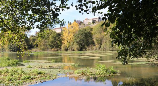 Les Sources de la Touvre