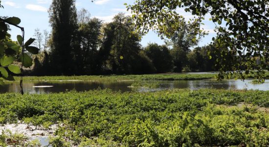 Les Sources de la Touvre