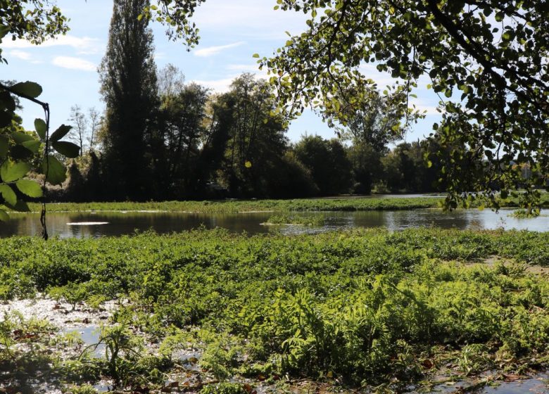 Les Sources de la Touvre