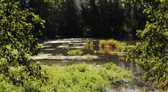 Les Sources de la Touvre