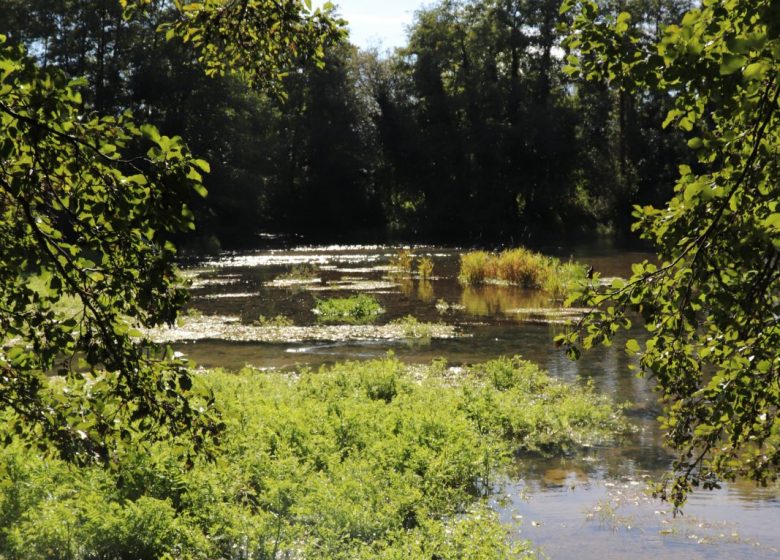 Les Sources de la Touvre
