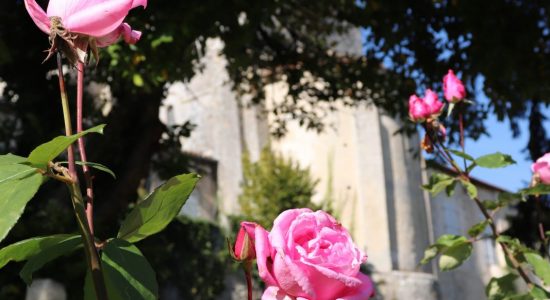 Jardin public de l’Hôtel de Ville