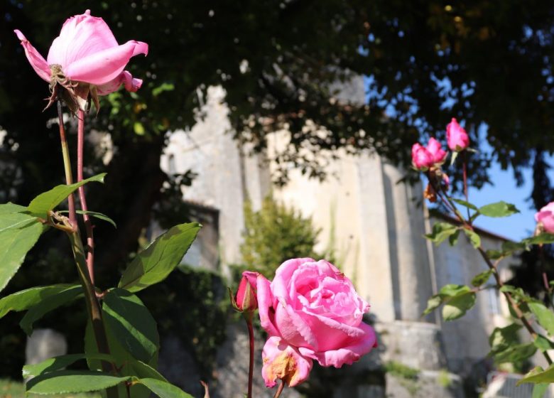 Jardin public de l’Hôtel de Ville