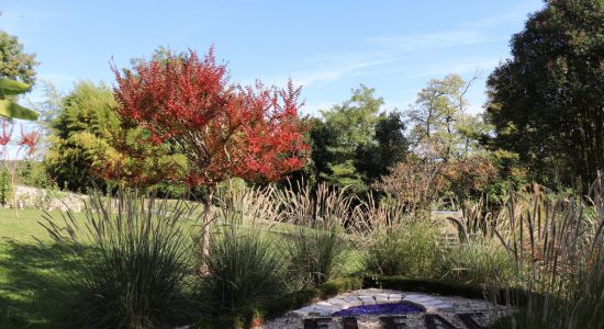 Jardin public de l’Hôtel de Ville