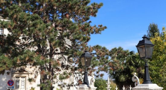 Jardin public de l’Hôtel de Ville