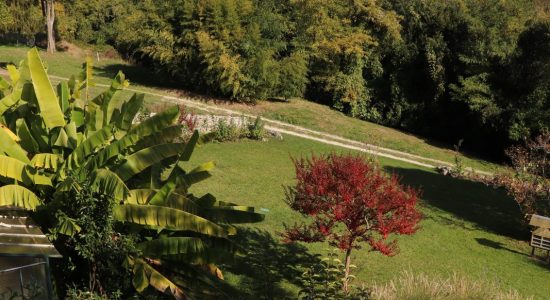 Jardin public de l’Hôtel de Ville