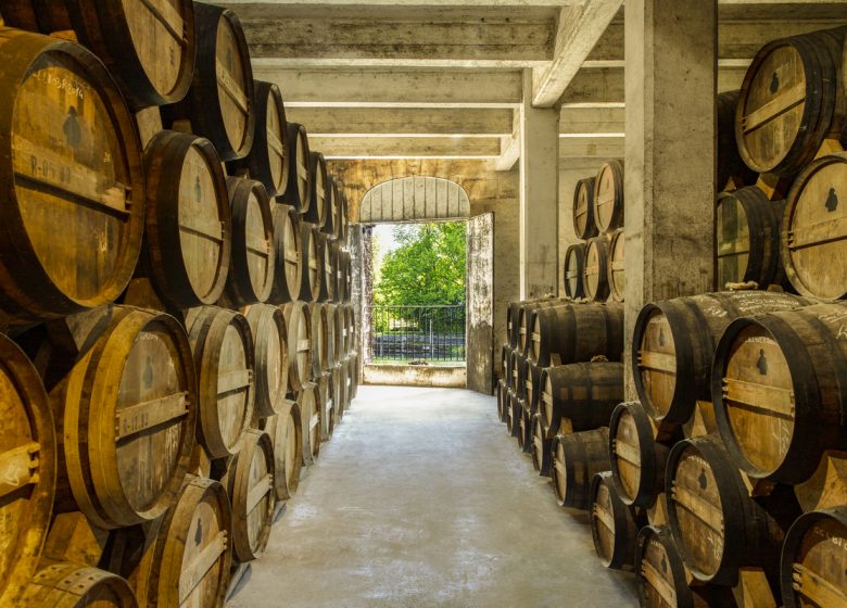 Visite Découverte – Courvoisier