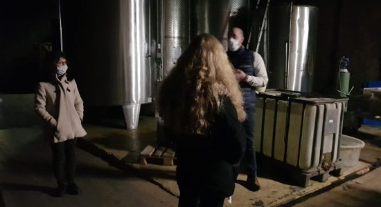 Visite guidée – Les Caves Charlemagne