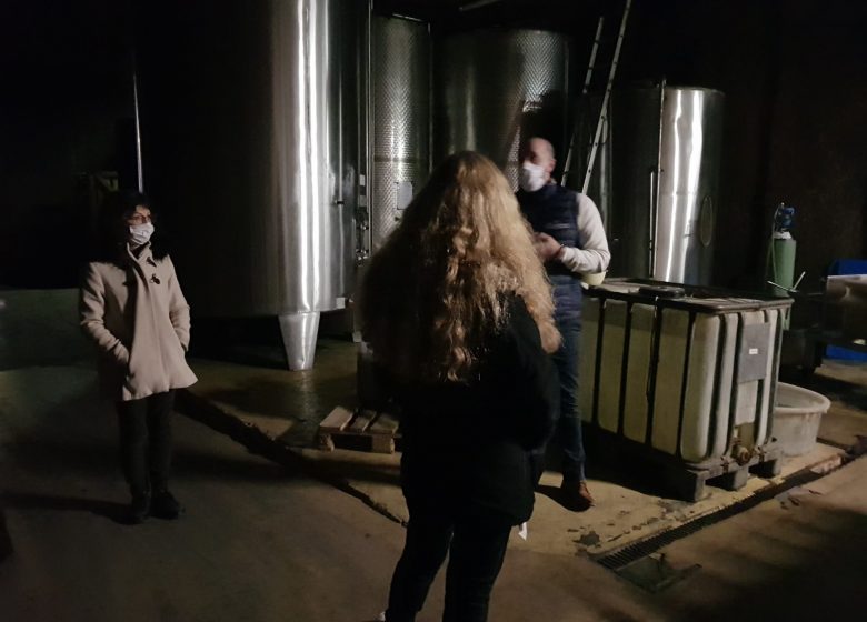 Visite guidée – Les Caves Charlemagne