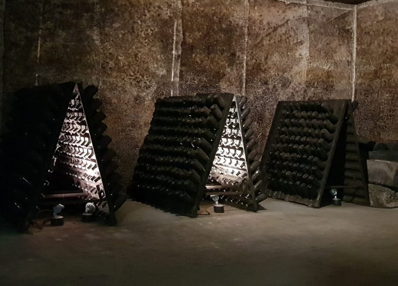 Visite guidée – Les Caves Charlemagne