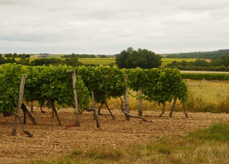 Circuit sur les traces du P’tit Rouillat