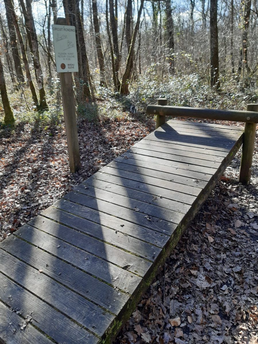 Forêt de Bois Blanc à Mornac - Angoulême Tourisme