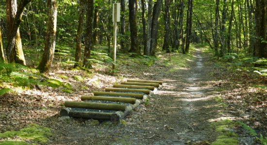 Circuit du chemin Henri IV