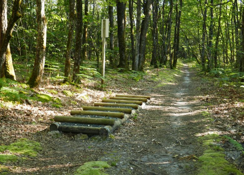 Circuit du chemin Henri IV