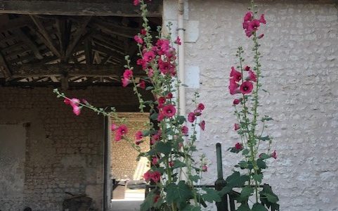 Chambre d’hôtes – Domaine de Beauséjour -6 pers